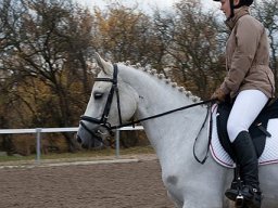IMG_0439-160_web
